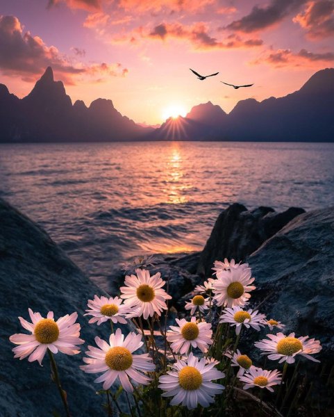 Красивый закат с сердечком