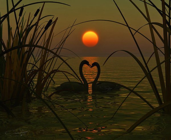 Осень время самых теплых объятий самых теплых вечеров ...