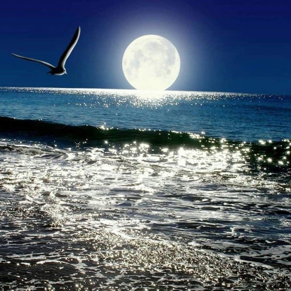 Красивые закаты и рассветы цитаты