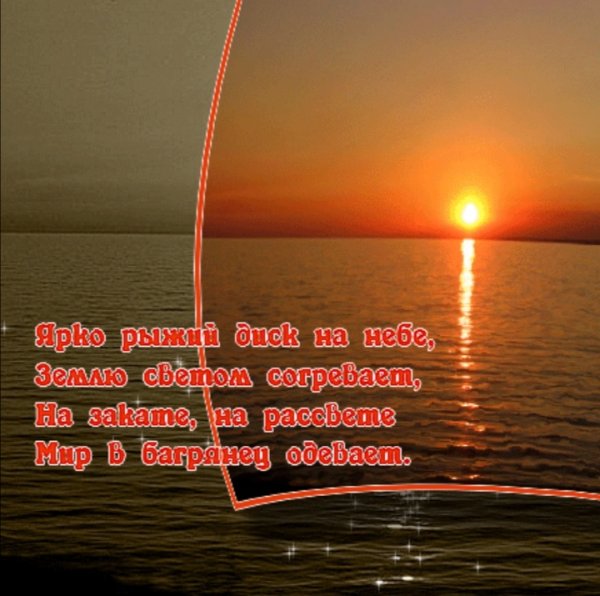 Море закат птицы