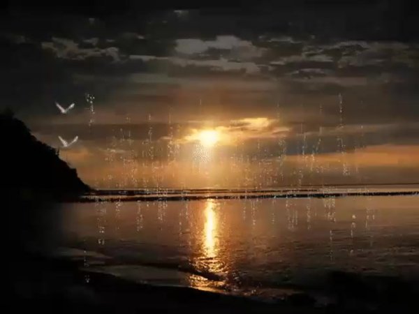 Доброй ночи