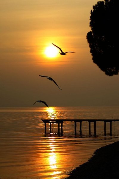 Вечернее море