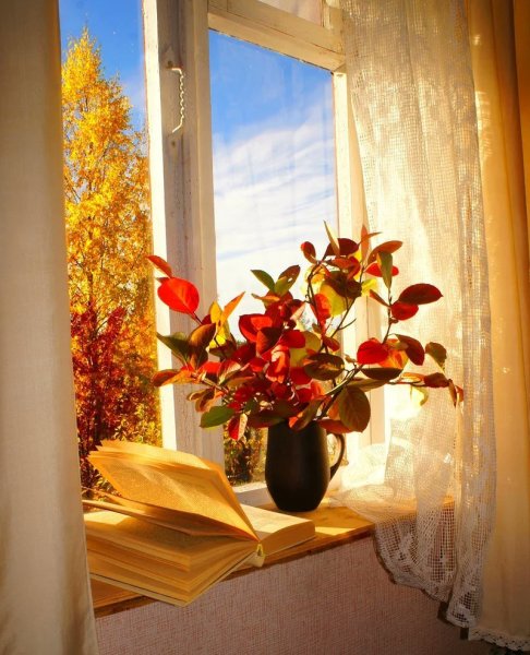 Осень из окна