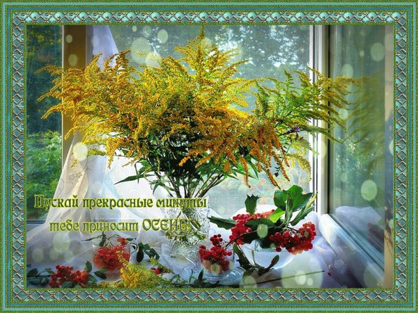 Доброе солнечное утро