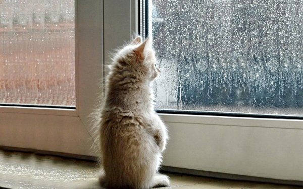 Теплой осени и душевного