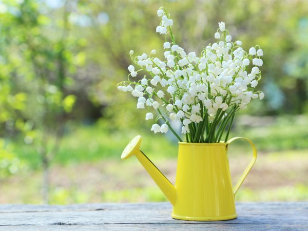 Майское утро