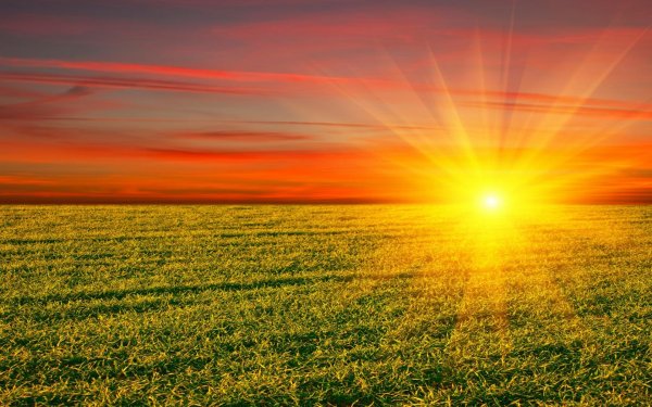 Лучезарное солнце