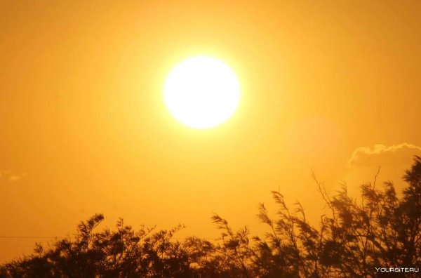 Лежало одеяло мягкое белое солнце припекло