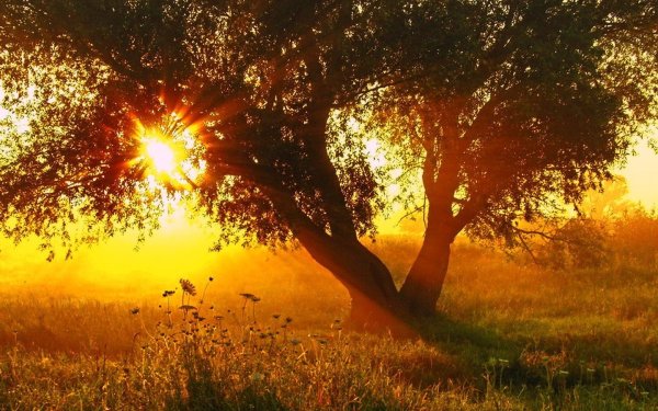 Небо солнце