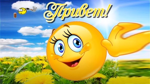 Здравствуй, солнышко