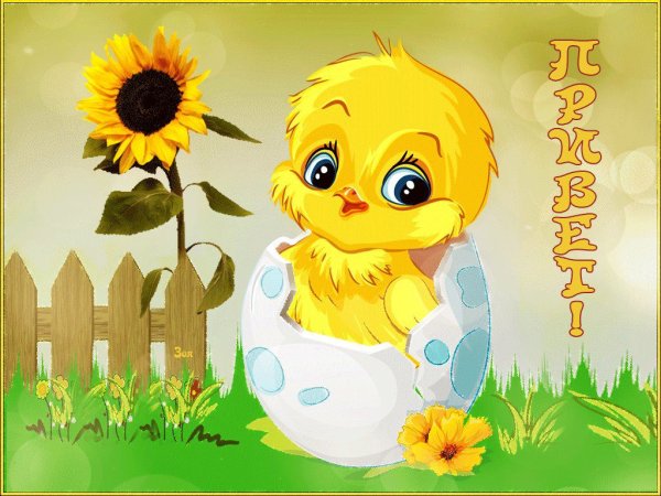 Открытки солнечного настроения