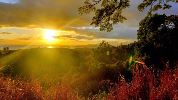 Шествие солнца картинки