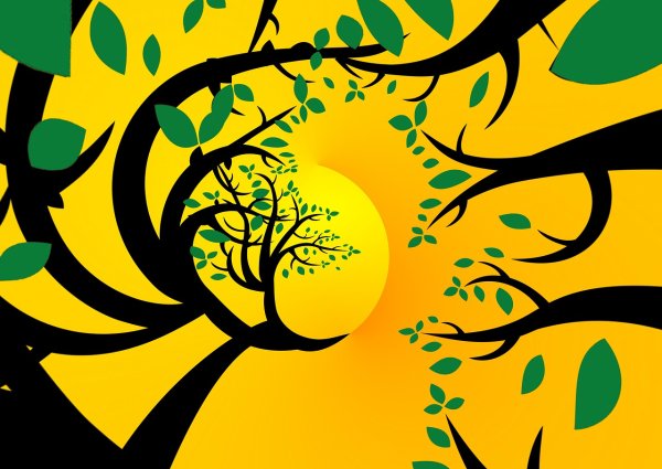 Листья деревьев абстракция