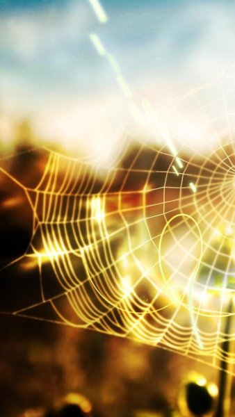 Солнечная абстракция