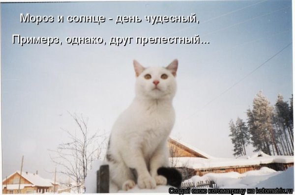 Мороз и солнце день чудесный смором