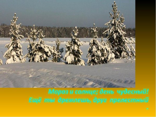 Стихи Пушкина о зиме