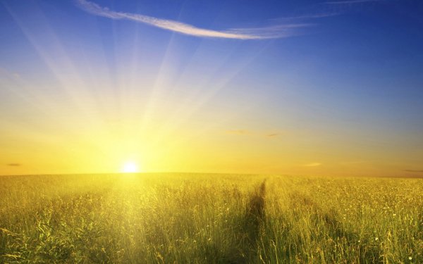 Пусть день нанетсяс доброты