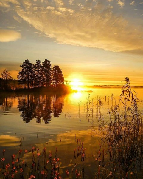 Доброе утро рассвет