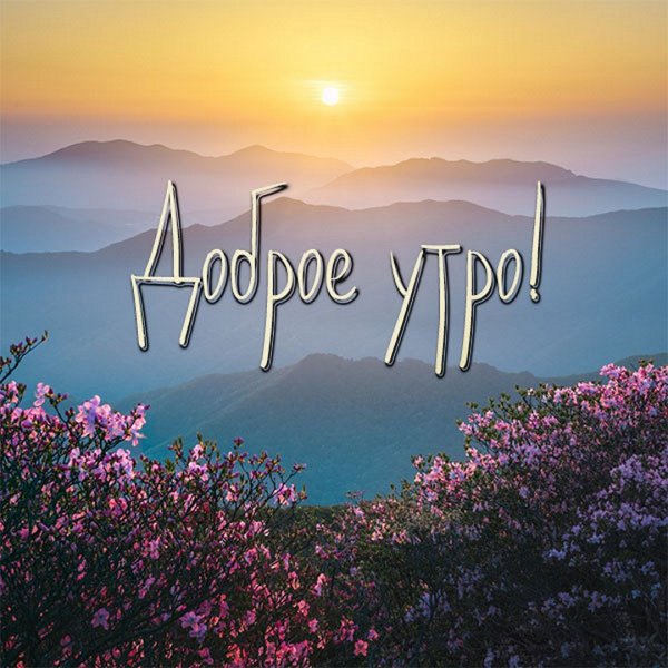 С добрым утром солнце