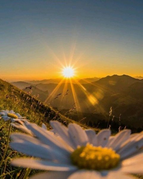 Доброе утро рассвет с надписью