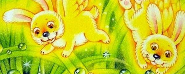 Солнечный зайчик