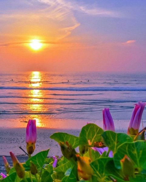 Закат на Волге