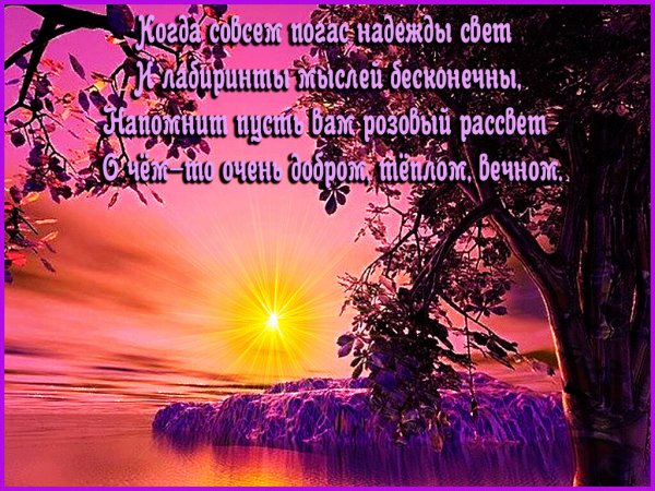 Подсолнухи поле вечер