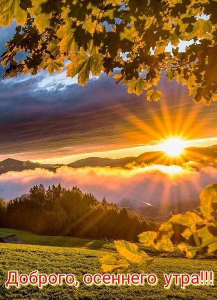 Доброе утро солнышко встало