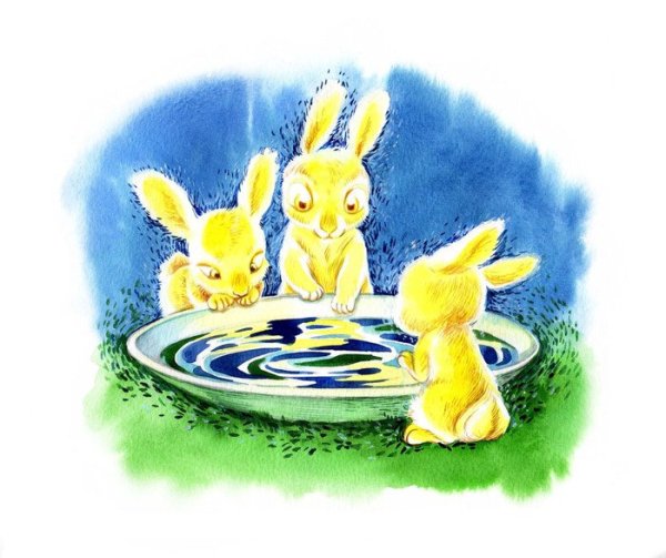 Солнечный зайчик