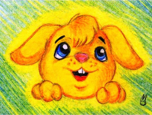 День солнечных зайчиков