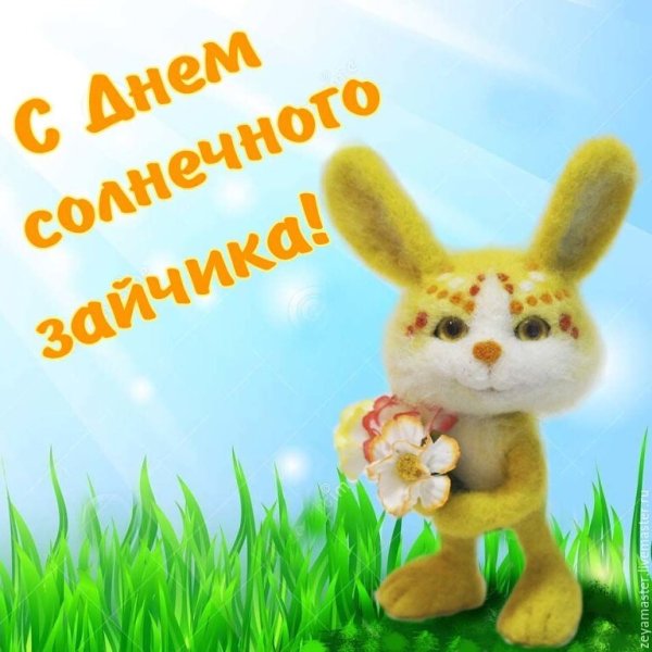 Солнечные зайчики анимация