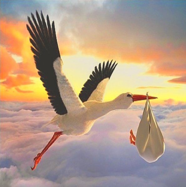 Аист с ребенком