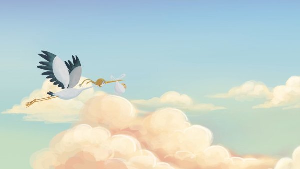 Аисты в Беларуси