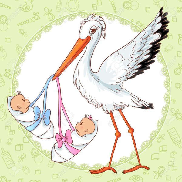 Гнездо аиста