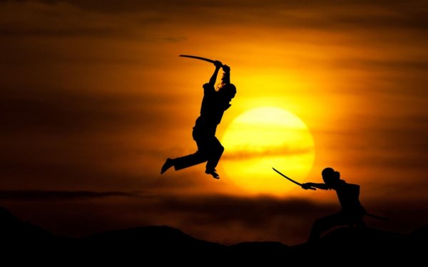 Воин на фоне солнца