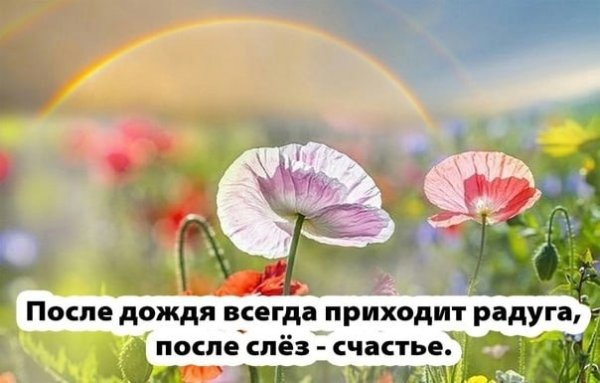 После дождя всегда приходит