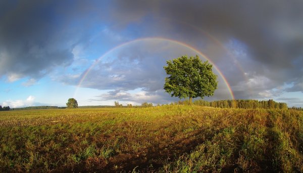 Солнышко после дождя