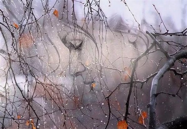 Поздняя осень дождь