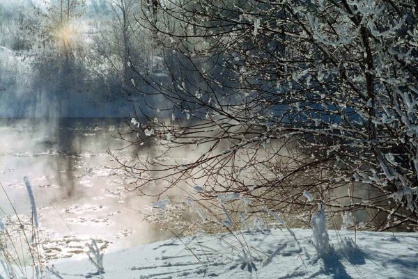 Поздняя осень