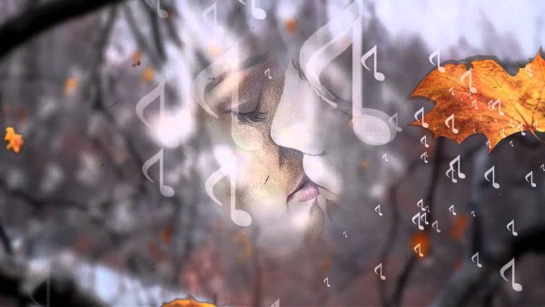 Серое дождливое утро