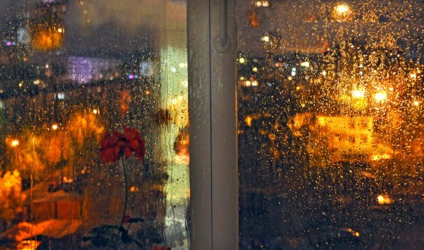 Хмурая дождливая осень