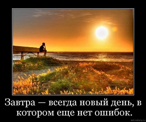 Небо на ладони