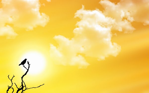 Солнышко на голубом небе