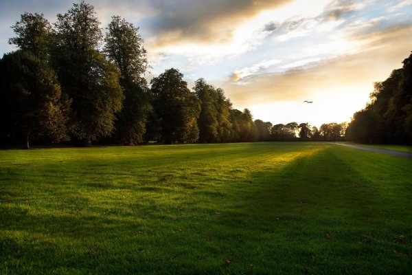 Фон для визуализации