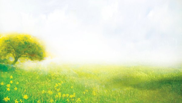 Фон Полянка