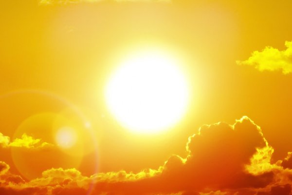 Желтое солнце