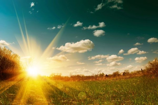 В каждом человеке солнце только дайте ему светить