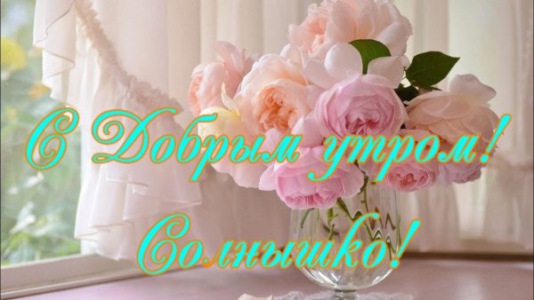 Доброе утро солнышко