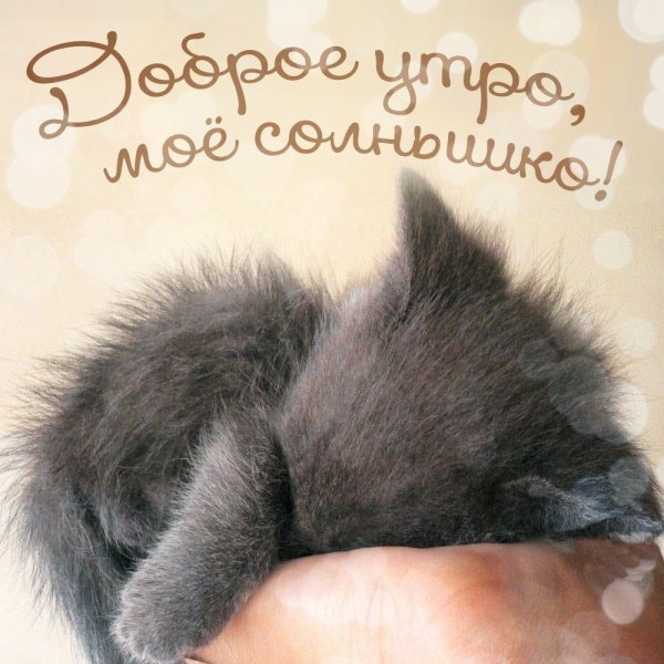 Доброе утро солнышко