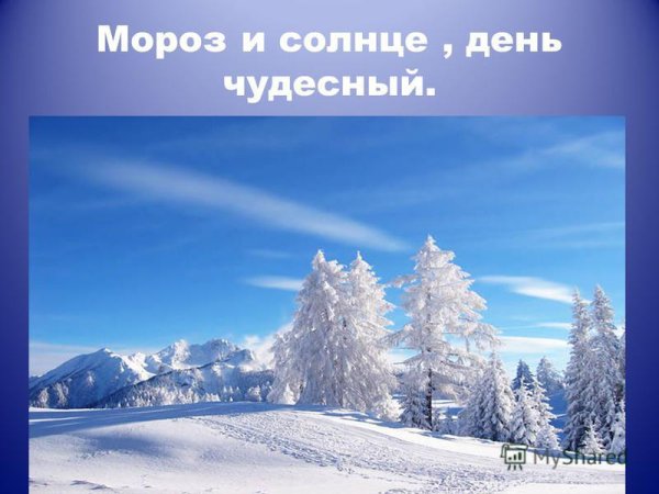 Мороз и солнце день чудес